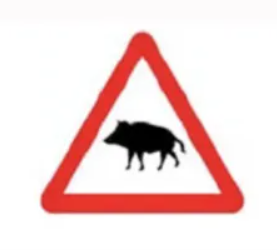 Nuevas señales de tráfico 2025 animales salvajes